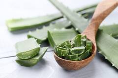 Aloe Vera Benefits: एलोवेरा जेल के फायदे कर देंगे आपको हैरान, स्किन के लिए है रामबाण