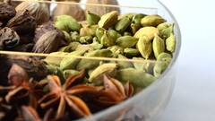 क्या आप भी खाना खाने के बाद खाते हैं इलायची? जान लीजिए फायदा हो रहा है या नुकसान