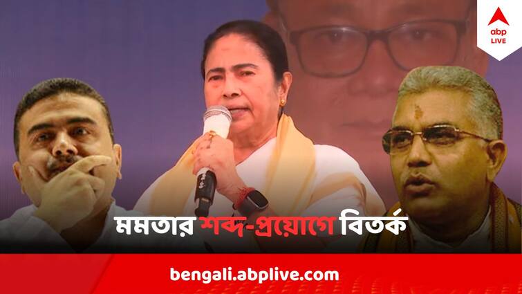 Mamata Banerjee Uses allegedly objectionable word at Coochbehar Mathabhanga public meeting BJP Attacks Mamata Banerjee : 'মুখ দিয়ে বেরিয়ে গেছে রাগের চোটে' মমতার বক্তৃতার মাঝে 'কুশব্দ', বিতর্ক তুঙ্গে