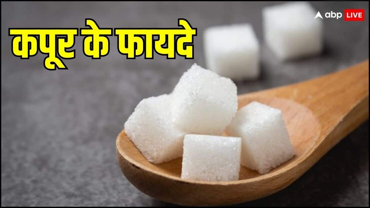 Camphor Benefits: कपूर सूंघने से क्या होता है? क्या है इसके फायदे, क्यों लोग रूमाल में इसे बांध कर रखते हैं?