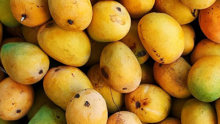 Mangoes : अशा परिस्थितीत जेव्हाही तुम्ही बाजारातून आंबा खरेदी कराल तेव्हा काही गोष्टी लक्षात ठेवा.