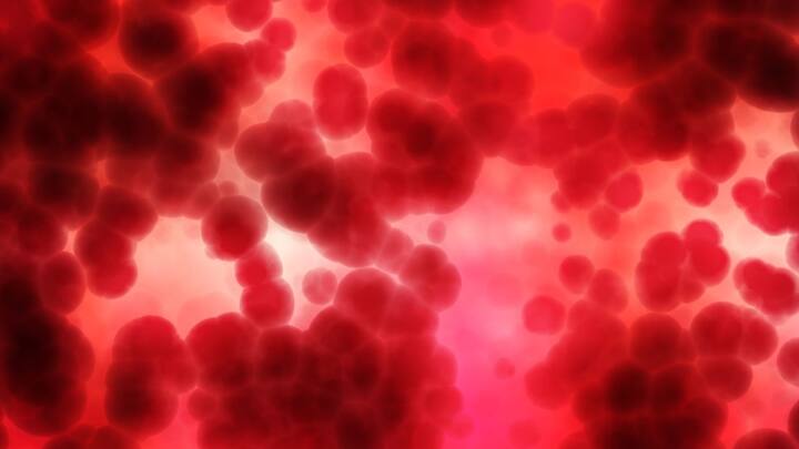 লোহিতকণিকার মধ্যে হিমোগ্লোবিন নামে প্রোটিন থাকে। এই হিমোগ্লোবিন আবার সাবইউনিট Heme অণু দ্বারা গঠিত।