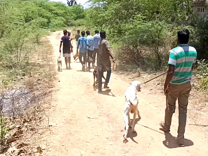 Mayiladuthurai leopard: பிக்பாஸ் வீட்டை மிஞ்சும் கேமராக்கள்; அதிகரிக்கப்பட்ட கூண்டுகள் - சிக்குமா சிறுத்தை....?