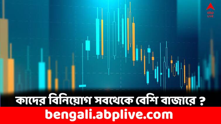 Stock Market Record High DII Investment is the highest since 2020 DII Investment: বিপুল বিনিয়োগে ফুলে উঠল বাজার, বিদেশি বিনিয়োগকারীদের পিছনে ফেলে রেকর্ড গড়ল কারা ?