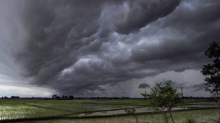 According to the forecast of the Meteorological Department, there will be unseasonal rain in this district including Narmada,  in Gujarat from April 10 Rain Forecast: ભરઉનાળે રાજ્યમાં ફરી માવઠાનું સંકટ, આ જિલ્લામાં કમોસમી વરસાદની આગાહી