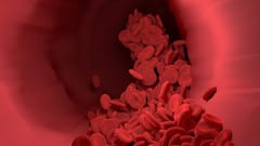 Science News: হলুদ, সবুজ বা নীল নয়, মানুষের রক্তের রং লাল যে কারণে...