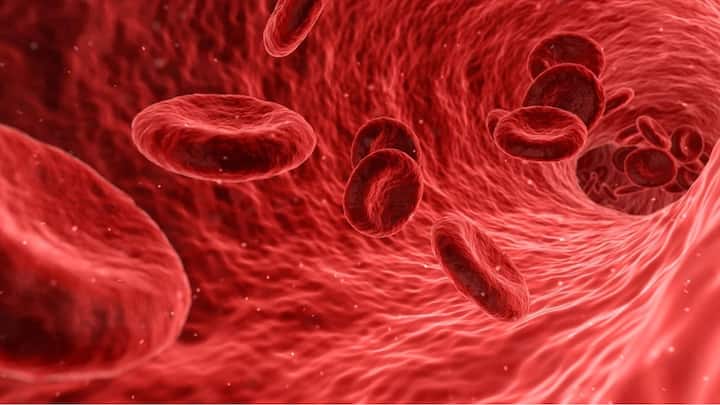 ওই লোহিতকণিকার রং কেন লাল, তা জানতে হলে অণুতে ভেঙে পরীক্ষা করার প্রয়োজন পড়ে, আর তে থেকেই রক্তের রং লাল হওয়ার কারণ জানা গিয়েছে।