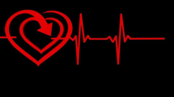 ওই অক্সিজেন শেষ হয়ে গেলে আবারও ফুসফুসে ফিরে যায় রক্ত। আবারও সেখান থেকে অক্সিজেন গোটা শরীরে পৌঁছে দেয়।