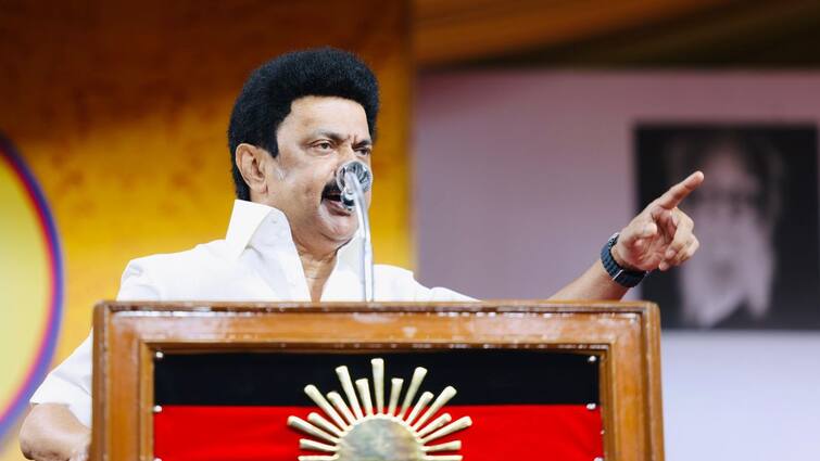 CM Stalin: ”எரியுது மாலா” வடிவேலு வசனத்தை பேசி பாஜகவை கலாய்த்த முதலமைச்சர் ஸ்டாலின் Tamilnadu cm stalin campaign for vck thirumavalavan at chidambaram CM Stalin: ”எரியுது மாலா” வடிவேலு வசனத்தை பேசி பாஜகவை கலாய்த்த முதலமைச்சர் ஸ்டாலின்