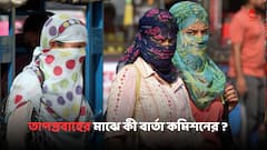 EC On Heat Wave: ভোটের আবহে জ্বালা ধরাবে গরম ? স্বস্তি পেতে কী করবেন ? জানাল কমিশন