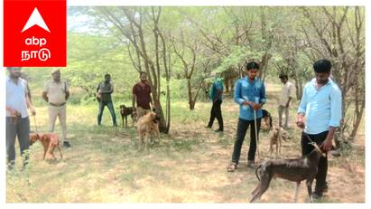 Mayiladuthurai leopard Search and hunt with the help of sniffer dogs - TNN எட்டு நாய்களும், ஓர் சிறுத்தையும் மயிலாடுதுறையில் பரபரப்பு - சூடுபிடிக்கும் தேடுதல் வேட்டை
