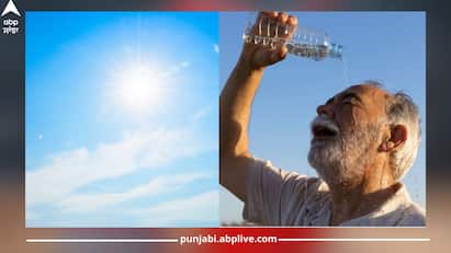 Health news: IMD ਵੱਲੋਂ ਮੌਸਮ ਨੂੰ ਲੈ ਕੇ ਪਹਿਲਾਂ ਹੀ ਚੇਤਾਵਨੀ ਦਿੱਤੀ ਜਾ ਚੁੱਕੀ ਹੈ। ਦੱਸਿਆ ਗਿਆ ਹੈ ਕਿ ਇਸ ਵਾਰ ਅਪ੍ਰੈਲ ਤੋਂ ਜੂਨ ਤੱਕ ਸਖ਼ਤ ਗਰਮੀ ਪੈਣ ਵਾਲੀ ਹੈ। ਦੇਸ਼ ਦੇ ਕਈ ਹਿੱਸਿਆਂ ਵਿੱਚ ਗਰਮੀ ਦੀ ਸੰਭਾਵਨਾ ਹੈ।