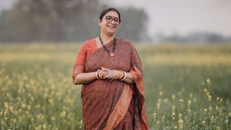 BJP Smriti Irani Talks About Her Career 'Declined Farhan Akhtar 'Dil Chahta Hai' Audition And Pan Masala Ads' Smriti Irani Talks About Her Career Choices: 'Declined 'Dil Chahta Hai' Audition And Pan Masala Ads'