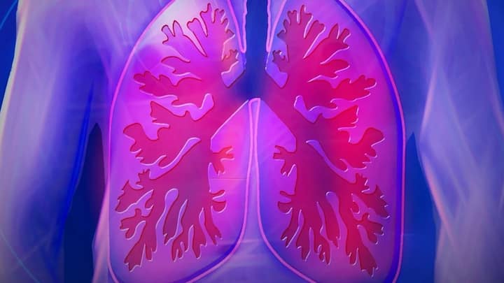 রক্তের জন্য অক্সিজেন বইতে পারা অত্যন্ত জরুরি। কারণ ফুসফুসে যখন রক্ত সঞ্চালন ঘটে, সেই সময়ই অক্সিজেন সংগ্রহ করে বিশুদ্ধ হয় রক্ত। এর পর গোটা শরীরে অক্সিজেন পৌঁছয় রক্তের মাধ্যমেই।