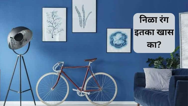 vastu tips Blue Colour Meaning And Significance In Vastu Shastra Know 5 Interesting Facts about blue colours Vastu Tips : घराला रंग देण्यासाठी असो किंवा आवडत्या गोष्टीत... निळा रंग ठरतो अतिशय शुभ; या रंगात इतकं खास काय? जाणून घ्या