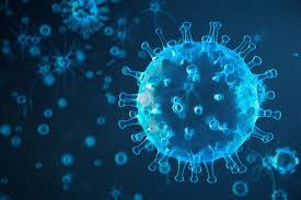 H5N1 virus Know about H5N1 virus 100 times more dangerous than Corona H5N1 virus: ਜਾਣੋ H5N1 ਵਾਇਰਸ ਬਾਰੇ ਜਿਸ ਨੂੰ ਕਰੋਨਾ ਤੋਂ ਵੀ 100 ਗੁਣਾ ਜਿਆਦਾ ਖਤਰਨਾਕ ਦੱਸਿਆ ਜਾ ਰਿਹਾ ਹੈ