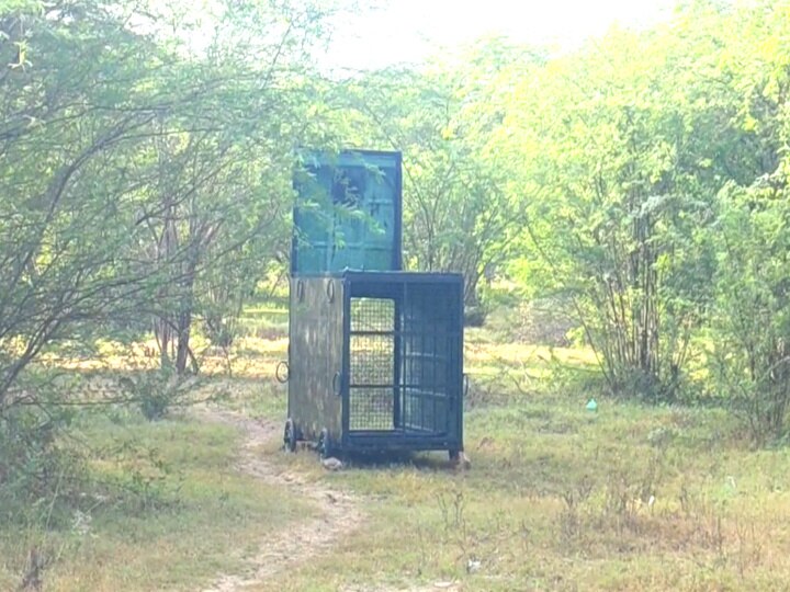 Mayiladuthurai leopard: கேமராவில் சிக்கிய சிறுத்தை - அடுத்த என்ன நடக்கும் பீதியில் மக்கள்...!