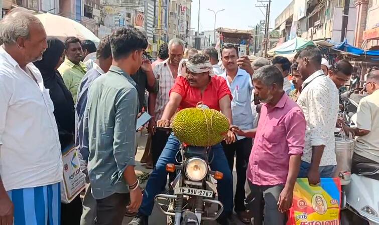 Lok Sabha Election 2024 Actor Mansoor Ali khan campaign in Vellore constituency - TNN தாமரையை சாப்பிட்டாச்சு, இரட்டை இலையை மென்னாச்சி, பலாப்பழம் ஜெயிச்சாச்சு - மன்சூர் அலிகான் நூதன பிரச்சாரம்