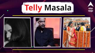 Telly Masala :  वयाच्या 52 वर्षी प्रसिद्ध अभिनेत्री घालणार दुसऱ्या लग्नाचा घाट? ते चिन्मयने 'त्या' अभिनेत्याच्या स्पीरीटला केलं हॅट्स ऑफ;शेअर केला खास किस्सा ; जाणून घ्या मराठी मनोरंजनसृष्टीसंबंधित बातम्या
