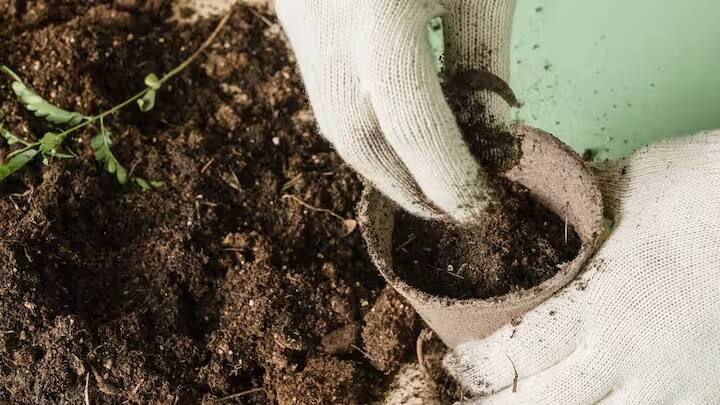 પૃથ્વીને રસાયણોથી પોકળ બનતી બચાવવા માટે સજીવ ખેતીની સતત માંગ છે, પરંતુ જૈવિક ખાતરોના અભાવે ઘણા ખેડૂતો રસાયણો પર નિર્ભર છે.