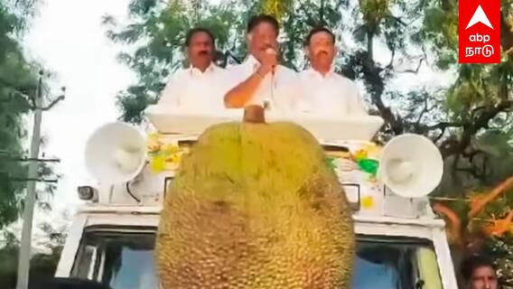 O Paneerselvam | ”பலாப்பழம் வெய்ட்டா இருக்கும் கீழ வைங்க கை வலிக்கும்” OPS கலகல பேச்சு