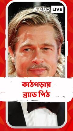 রগচটা অভিনেতা ব্র্যাড পিট? গায়ে হাত তোলেন স্ত্রীর? আদালতে আবারও দাবি অ্যাঞ্জেলিনা জোলির