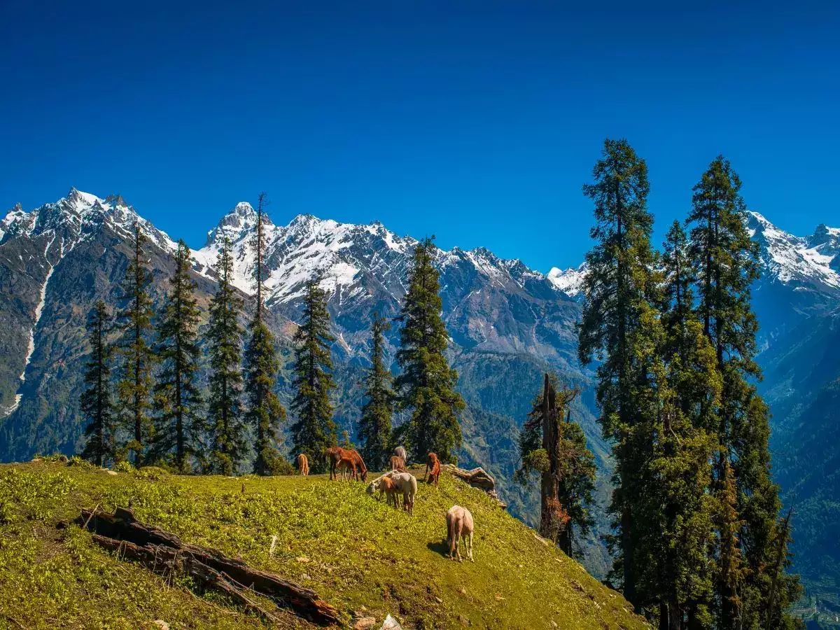 Travel : मे महिन्याची सुट्टी 'फुल्ल टू एन्जॉय' कराल! फक्त मामाचं गावंच नाही, तर 'या' 5 ठिकाणांनाही भेट देण्याचा प्लॅन करा