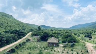 महाराष्ट्र का रत्नागिरी है नेचर लवर्स की पहली पसंद, यहां घूमने के लिए हैं ढेरों ऑप्शन्स