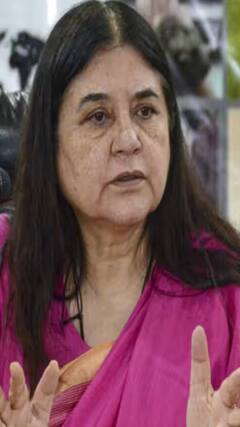 अमेठी से चुनाव लड़ेंगे वरुण गांधी? मेनका हो गईं चुप | Menka Gandhi | Varun Gandhi | shorts