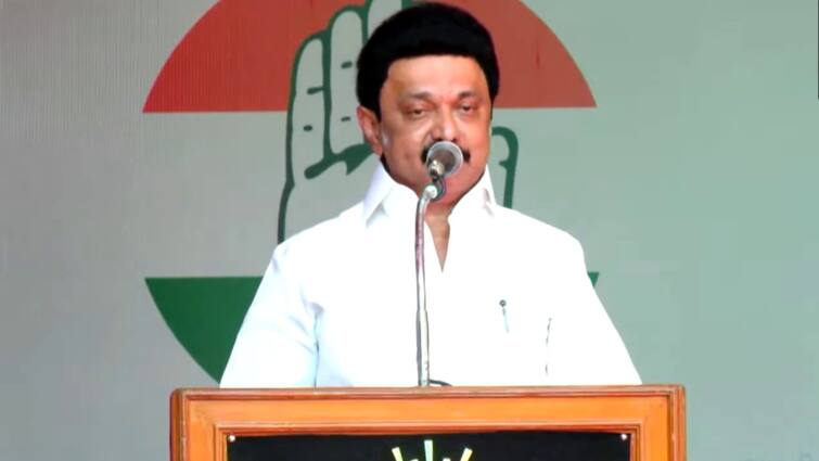 Lok Sabha Elections 2024 Stalin Takes Hit At BJP During Speech In Puducherry Says BJP Harasses Its Members As Too 'Not Only Harassing Oppn Ruled States, But...': Stalin Takes A Dig At BJP During Puducherry Rally