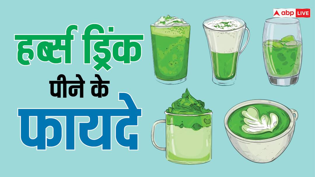 keep your body cool from inside in summer drink these 5 herbal drinks daily Herbs For Summer: गर्मी में शरीर को अंदर से रखें ठंडा, रोजाना पिएं ये 5 हर्ब्स ड्रिंक