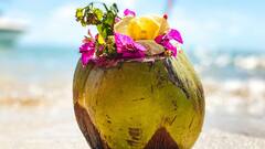 Weight loss Journey:இளநீர் உடல் எடையை குறைக்க உதவுமா? நிபுணர்கள் சொல்லும் அட்வைஸ்!