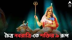 Chaitra Navratri 2024:  চৈত্র নবরাত্রিতে ৯টি রূপে পূজিত হন দেবী দুর্গা, জানেন কী কী