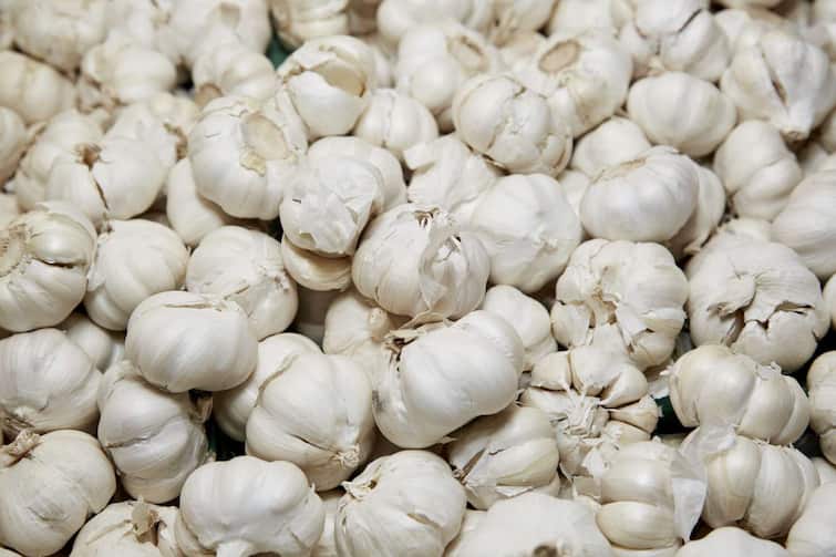 Why  Chinese garlic is harmful for you Chinese Garlic:  ਚੀਨ ਤੋਂ ਆਉਣ ਵਾਲੇ ਲਸਣ ਨੂੰ ਕਿਉਂ ਕਿਹਾ ਜਾ ਰਿਹੈ ਖ਼ਤਰਨਾਕ? ਇਸ ਨੂੰ ਬਣਾਉਣ ਦੀ ਪ੍ਰਕਿਰਿਆ ਤੁਹਾਨੂੰ ਕਰ ਦਵੇਗੀ ਹੈਰਾਨ 