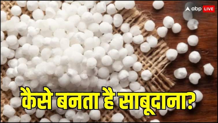 Is it really true that once you see sago being made you will never eat it Know the process of making it Sabudana Making Process : क्या सही में एक बार साबूदाना बनता हुए देख लें तो आप कभी नहीं खाएंगे, जानिए क्या है बनने का प्रोसेस