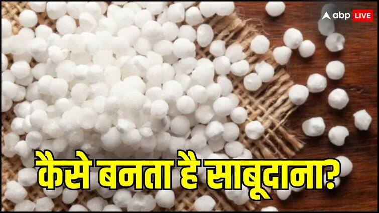 Sabudana Making Process : क्या सही में एक बार साबूदाना बनता हुए देख लें तो आप कभी नहीं खाएंगे, जानिए क्या है बनने का प्रोसेस Is it really true that once you see sago being made you will never eat it Know the process of making it Sabudana Making Process : क्या सही में एक बार साबूदाना बनता हुए देख लें तो आप कभी नहीं खाएंगे, जानिए क्या है बनने का प्रोसेस