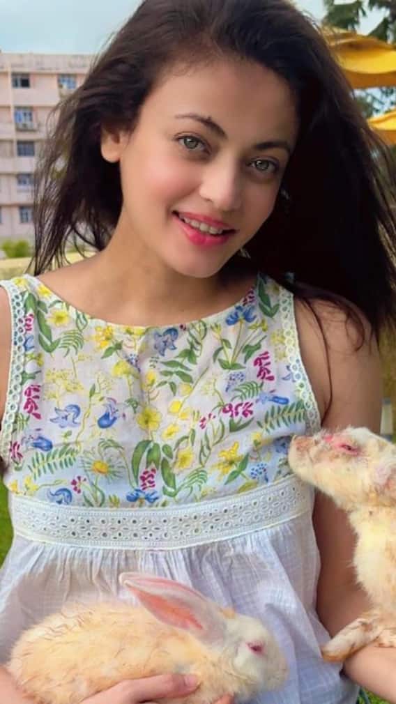 ऐश्वर्या राय की हमशक्ल स्नेहा उल्लाल लगातार दे रही हैं फ्लॉप फिल्में