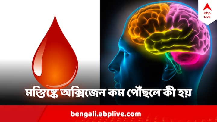 Lack of oxygen to the brain: কোষে যে ক্রমাগত বিপাক চলে, তার জন্য দরকার অক্সিজেন। অক্সিজেনের ঘাটতি হলে এই কোষে বিপাক পদ্ধতি চলে , তার থেকে এনার্জি কম পরিমাণে তৈরি হয়। তাই অক্সিজেনের ঘাটতি মানেই...