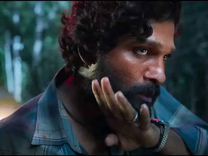 2021ல் வெளியான 'புஷ்பா : தி ரைஸ்' படம் அல்லு அர்ஜுனை ஒரு ஆக்ஷன் ஹீரோவாக ஜொலிக்க வைத்தது.