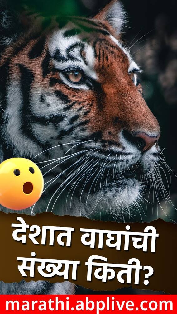 कोणत्या राज्यात किती वाघ?