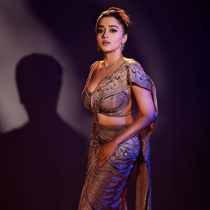 હાલમાં ટીના દત્તાએ પોતાના ઈન્સ્ટાગ્રામ પર સાડી લૂકમાં ખૂબ જ શાનદાર તસવીરો શેર કરી છે.