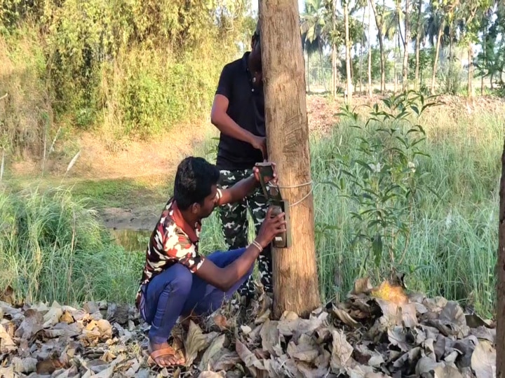 Mayiladuthurai leopard:  நீர்நிலைகளின் வழியாக இடம் பெயரும் சிறுத்தை; 7 இடங்களில் கூண்டுகள் - அலர்ட் ஆகும் வனத்துறை 