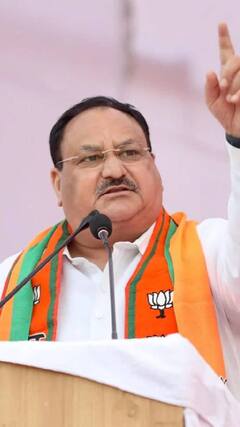 Election 2024: 'वायनाड में नामांकन के दौरान कांग्रेस पार्टी के झंडे गायब क्यों हो गए? | ABP Shorts