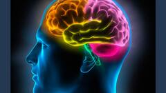 Brain Health News: সাধারণ লক্ষণ ক্রমেই হয় জটিল, এগুলোই মস্তিষ্কে কম রক্ত পৌঁছনোর লক্ষণ !