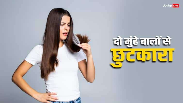 split ends hair treatment know home remedies do muhe baal ka ilaaj Split Ends Hair: दो मुंहे बालों को जड़ से खत्म करेगी ये चीज, ऐसे करें इसका इस्तेमाल