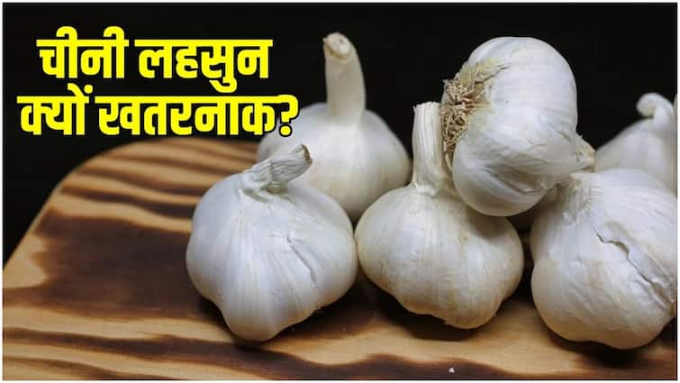 Why is it being said that garlic coming from China is dangerous You will be surprised to know the process of making it Chinese Garlic:  क्यों कहा जा रहा है कि चीन से आने वाला लहसुन है खतरनाक? इसे बनाने का प्रोसेस जानकर रह जाएंगे हैरान