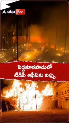 పెద్దకూరపాడులో టీడీపీ ఆఫీస్ ను తగలబెట్టిన దుండగులు