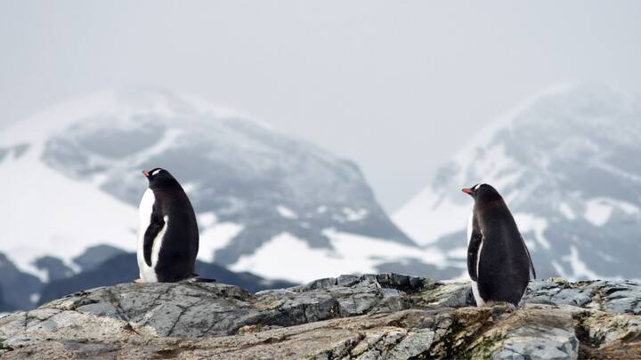 কিন্তু আন্টার্কটিকার বরফের নীচে আসলে অন্য এক দুনিয়া লুকিয়ে রয়েছে বলে জানালেন বিজ্ঞানীরা। তাঁরা জানিয়েছেন আন্টার্কটিকা আসলে পৃথিবীর বৃহত্তম আগ্নেয়গিরি অঞ্চল। ছবি: পিক্সাবে।