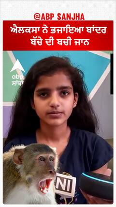 UP teen save herself, toddler niece from monkey attack | ਐਲਕਸਾ ਨੇ ਭਜਾਇਆ ਬਾਂਦਰ, ਬੱਚੇ ਦੀ ਬਚੀ ਜਾਨ