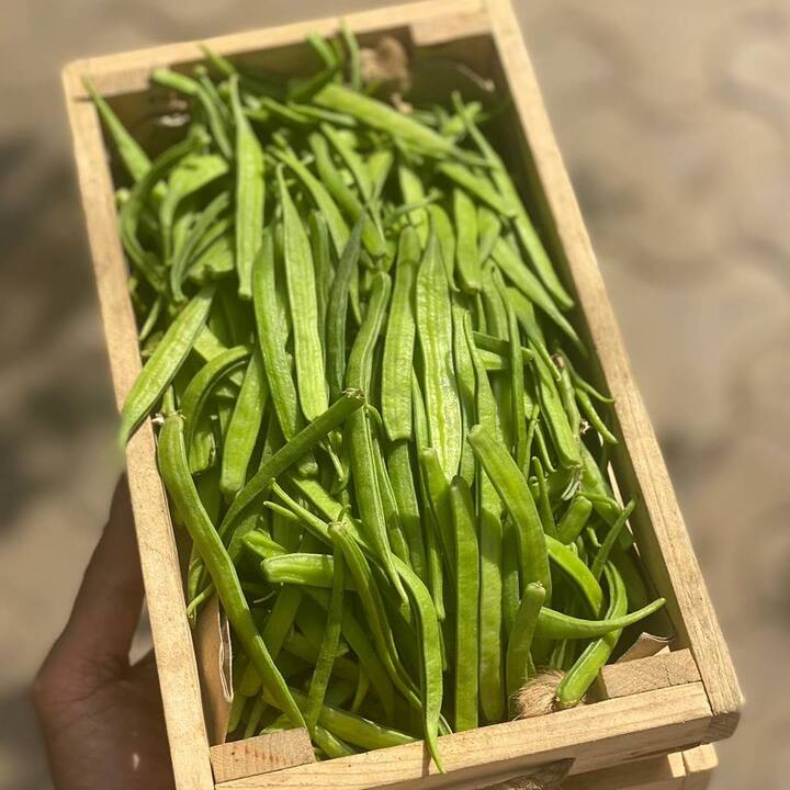 ਗੁਆਰੇ ਦੀਆਂ ਫਲੀਆਂ ਵਿੱਚ ਫਾਈਬਰ, ਪੋਟਾਸ਼ੀਅਮ ਅਤੇ ਫੋਲੇਟ ਪਾਇਆ ਜਾਂਦਾ ਹੈ, ਜੋ ਦਿਲ ਨੂੰ ਸਿਹਤਮੰਦ ਰੱਖਣ ਵਿੱਚ ਮਦਦ ਕਰਦਾ ਹੈ। ਇਸ ਦਾ ਸੇਵਨ ਕਰਨ ਨਾਲ ਬਲੱਡ ਪ੍ਰੈਸ਼ਰ ਕੰਟਰੋਲ 'ਚ ਰਹਿੰਦਾ ਹੈ, ਜੋ ਹਾਰਟ ਅਟੈਕ ਵਰਗੀਆਂ ਬੀਮਾਰੀਆਂ ਤੋਂ ਬਚਾਉਂਦਾ ਹੈ।
